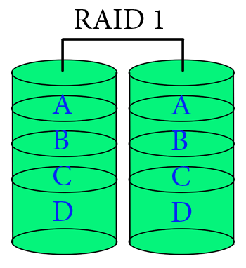 RAID 1 CIPHER